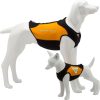 Cressi Dws Dog Wetsuit