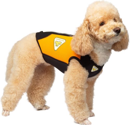 Cressi Dws Dog Wetsuit