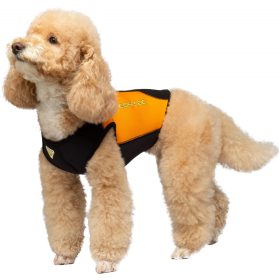 Cressi Dws Dog Wetsuit