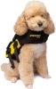 Cressi Dlj Dog Life Jacket