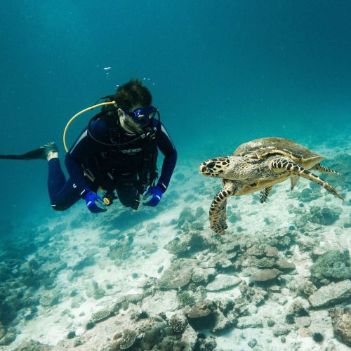 Cressi UEF Junior Open Water Diver Tanfolyam 12 éves kortól 14 éves korig1fő részére