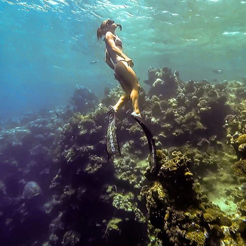Cressi UEF Snorkel Diver Memzetközi Regisztrációval Kártyával