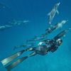 Cressi UEF Snorkel Diver Memzetközi Regisztrációval Kártyával