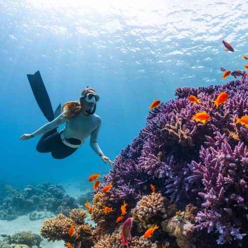 Cressi UEF Snorkel Diver 